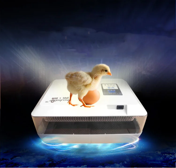 

1pcs Mini Egg Incubator for 60 Chicken Eggs, 40 Duck Eggs, 90 Quail Eggs