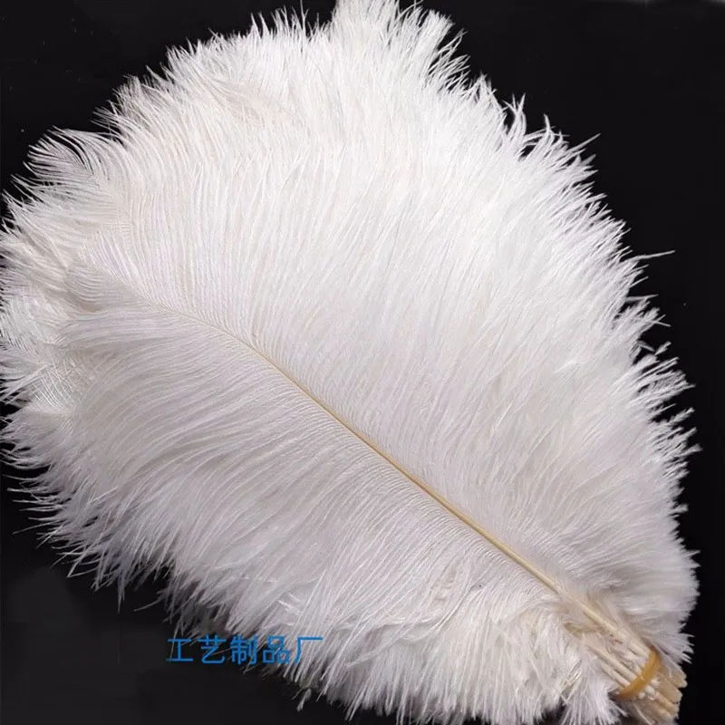 

Wholesale! 100 PCS/a lot of beautiful white ostrich feathers 20-25 cm / 8-10 inches wedding celebration decoration