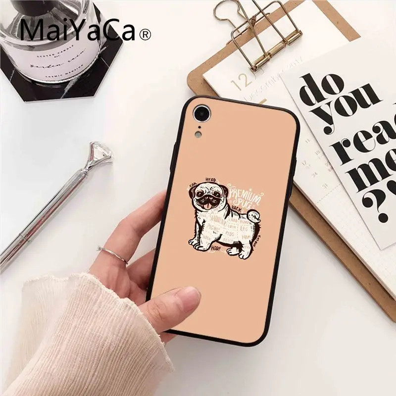 French Bulldog Dog
