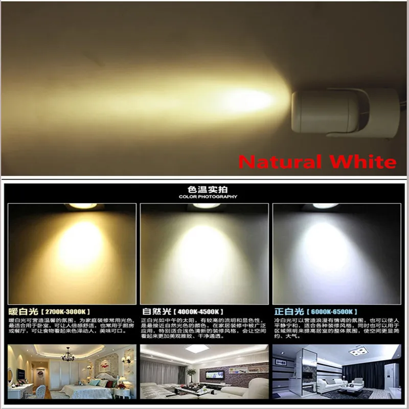 Surface COB LED Downlight 8