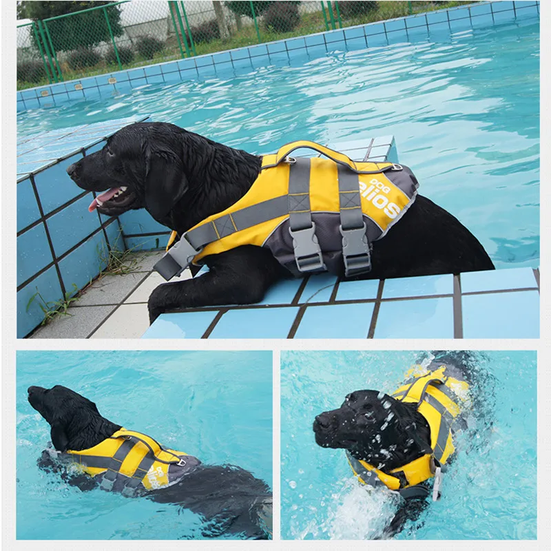 large dog life vest