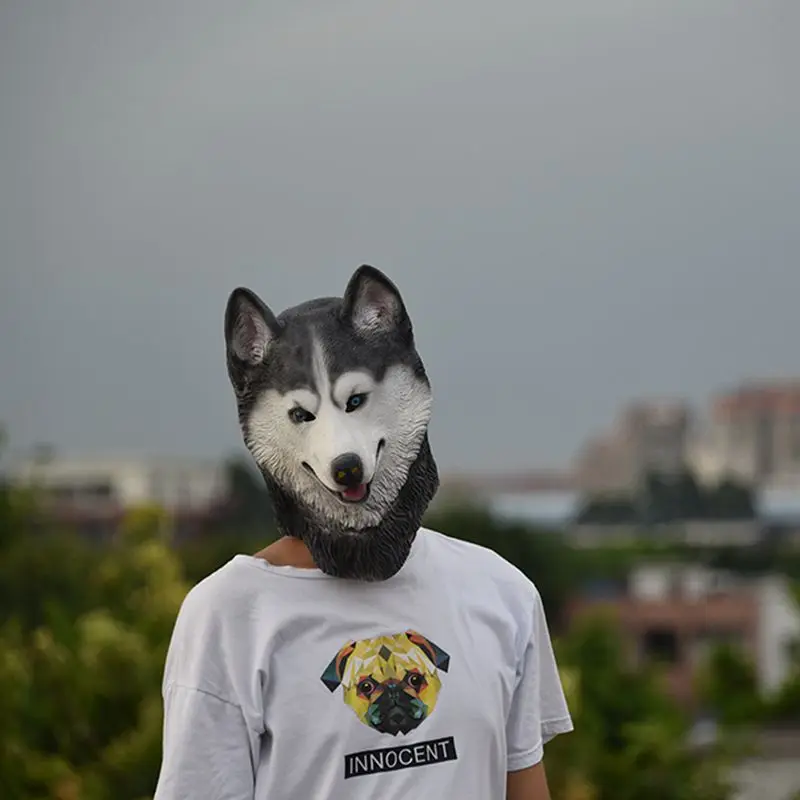 HTB1mNuvSVXXXXXfXXXXq6xXFXXXr