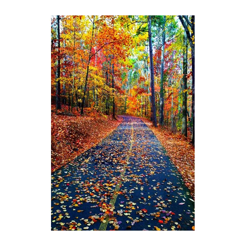 Full SquareRound Drill 5D DIY Diamond Painting Fallen leaves on the road 3D Embroidery Cross Stitch Mosaic Home Decor