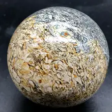 Природный динозавр костной окаменелой сферы хрустальный шар натуральный мадагаскарский камень целебный кристалл