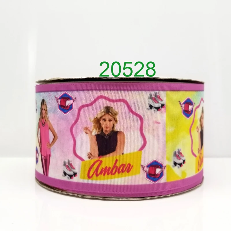 20528
