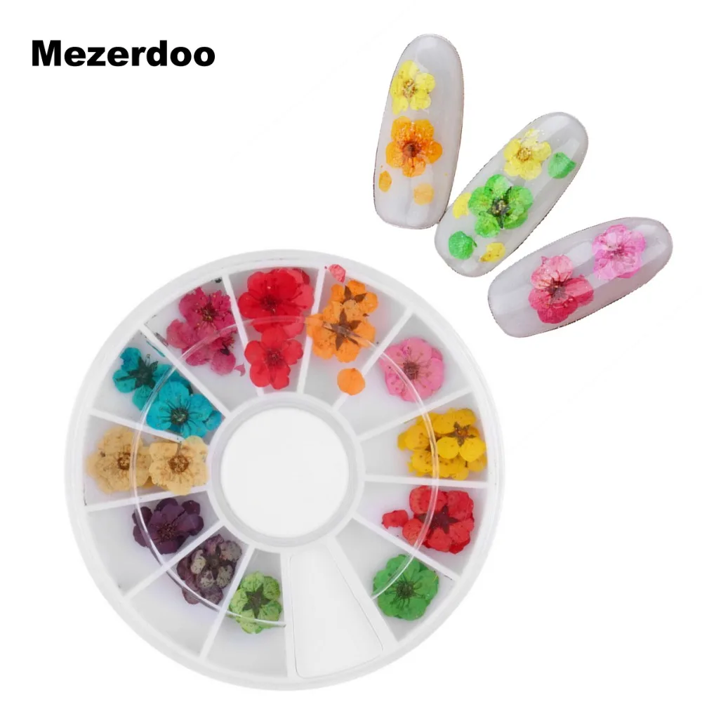 12 Colors Real Nail Dried Flowers Art Decoration Diy Tips Dry Dried Flowers Nail Art