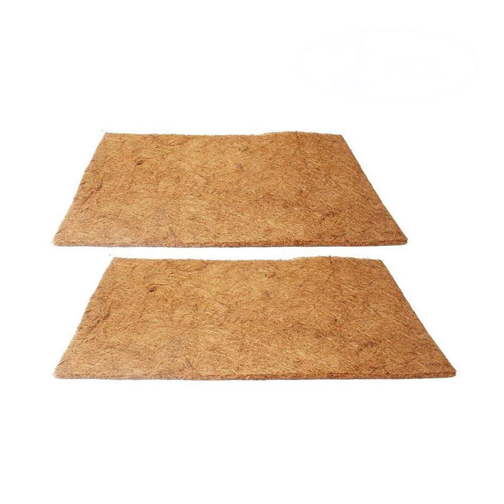 61EE-75yVNL._SL1000_