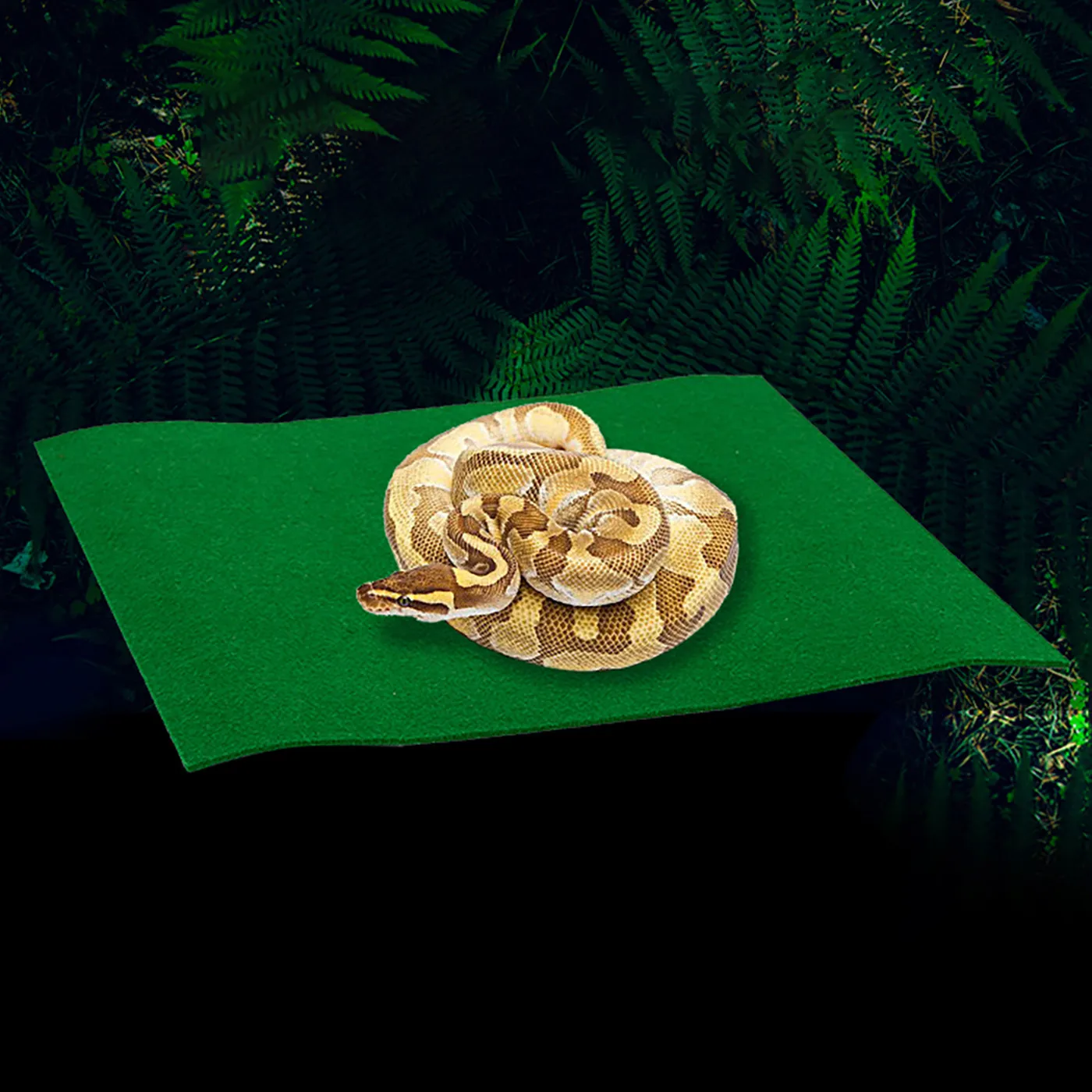 

Polyester Fiber Mat For Gecko Lizard Snake Tortoise Bearded Dragon Reptile Vivarium Terrarium Carpet Easy To Clean Assorted Size