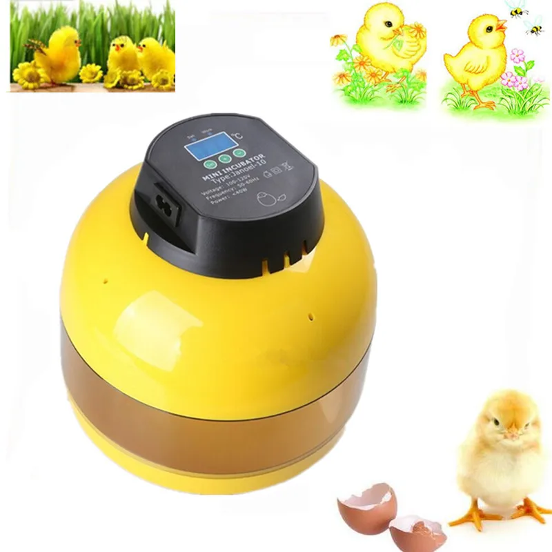 Home Use Eggs Turning Hatcher Chicken Quail Duck Thermostat Brooder