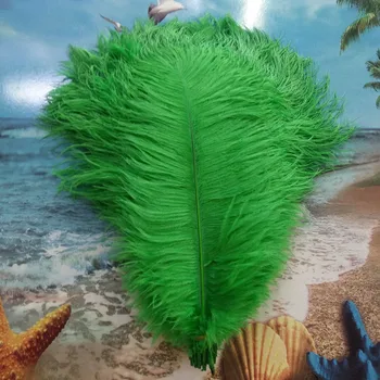 

New 100pcs Beautiful 14-16inches / 35-40cm Grass green ostrich feather DIY jewelry decoration / wedding celebration