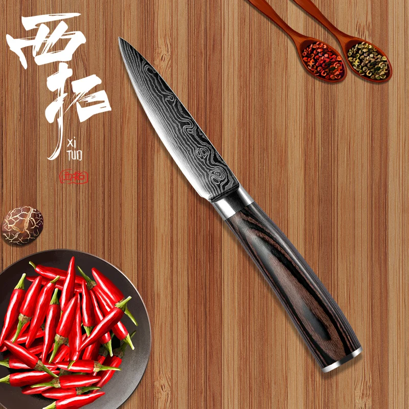 

XITUO High Quality Kitchen Chef Knife 3.5 "Damascus Pattern Fruit Knife Multifunctional Peeler Knife Family Kitchen Cooking Tool