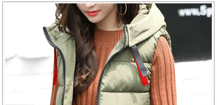 Women Jacket Winter Cotton Padded Vest Coats Long Hooded Women Coat And Jacket Sleeveless Outwear Clothing Plus Size 4XL CH657 (9)