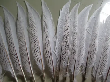 

Beautiful 35-40 CM 50 pcs Silver Pheasant Tail Feathers Wedding Decorations lady amherst white silver chicken feathers plume