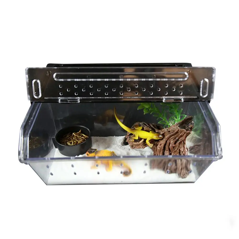 

Top Selling Reptile Box Reptile Terrarium Durable Transparent Acrylic Breeding Animals Insect Live Food Feeding Box