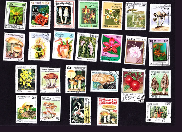 

20Pcs Topic Stamp Flowers Fruit Stamps All Different From Many Countries NO Repeat Marked Postage Stamps Collecting