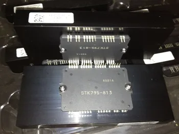 

100% New&original STK795-813