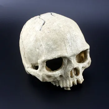 

Funny 1pcs Skull Aquarium Home Party Decoration Terrarium Reptile Fish Tank Ornament Simulation Landscape VC