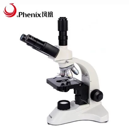 PH50 02
