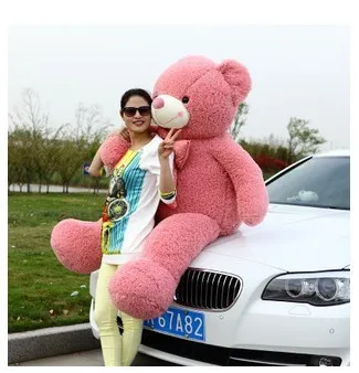 teddy bear in big size