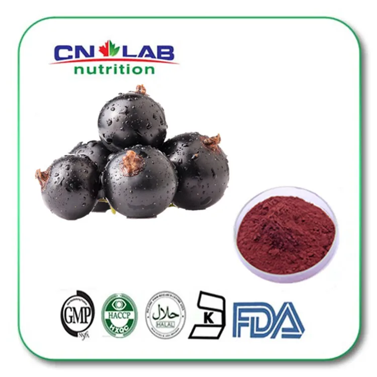 Image Black currant powder flavor for juice concentrate