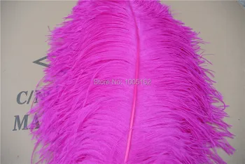 

EMS Free Shipping 100 pcs 24-28inch(60-70cm) Hot Pink Ostrich Feathers plumes for Wedding centerpiece decor party decor