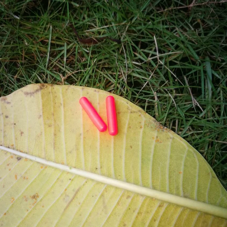 2 (1)