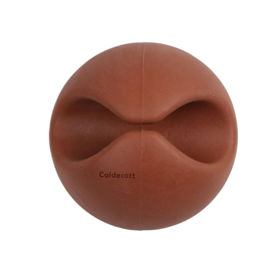tom000216 (Caldecott)