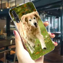 Жесткий Чехол для собаки Лабрадор ретривер для huawei Honor 7C 5.99in 8 Lite 9 i 10 Play Note Y6 Y7 Prime 2018 Y9 NOVA 3 3i 6 7A X