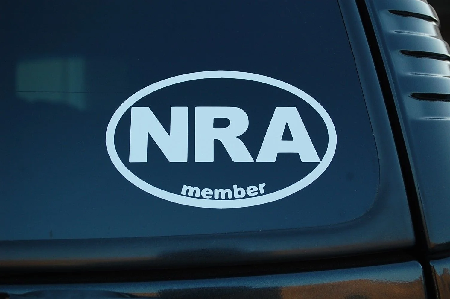 Для NRA овальная наклейка виниловая член 2-е изменение пистолет права Momon Labe (V413)