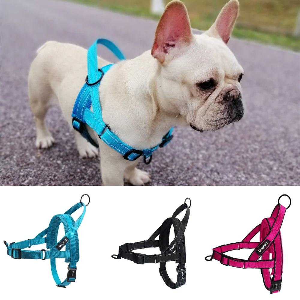 easy walk harness for french bulldog