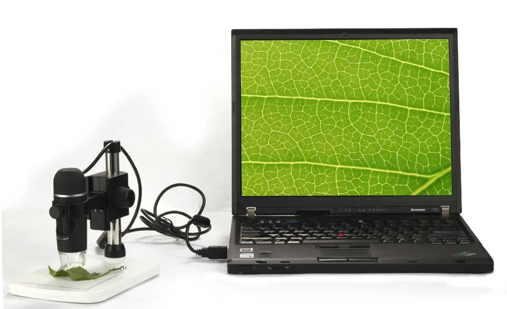 Купить Hotsale USB Цифровой Микроскоп 5MP 20-300X Видео Микроскопа Лупы Камеры для Windows XP/VISTA/WIN7/Mac онлайн Купить Hotsale USB Цифровой Микроскоп 5MP 20-300X Видео Микроскопа Лупы Камеры для Windows XP/VISTA/WIN7/Mac дешево
