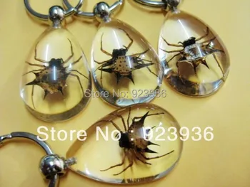 

free shipping wholesale 12pcs fashion key-chains golden angle spider ice clear drop style cool unisex sexy gift