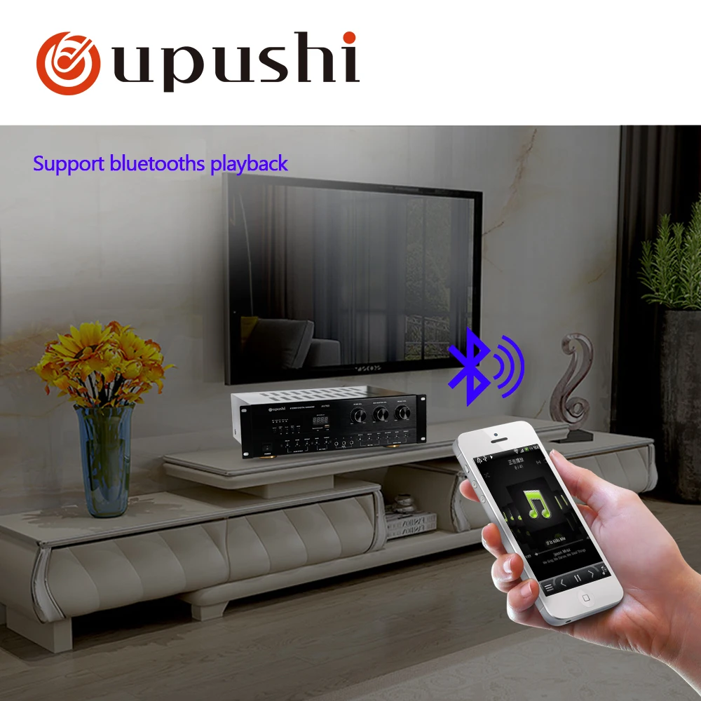 Oupushi Professional Karaoke Power Amplifiers 250W