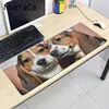 Computer Peripherals