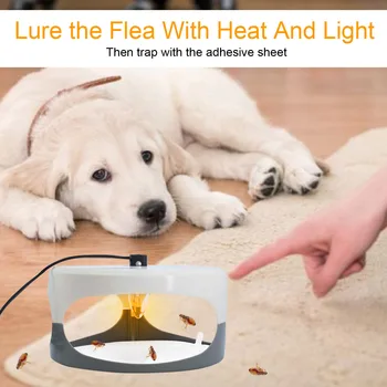 

Behogar 1PCS Pest Bugs Flea Killer Trap 2PCS Glue Discs 2PCS Light Bulbs for Home Bedroom Living Room Hallway Pet House Carpet