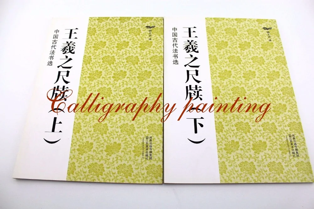 

Ancient Wang Yizhi Cursive Script Ink Brush Calligraphy Copybook