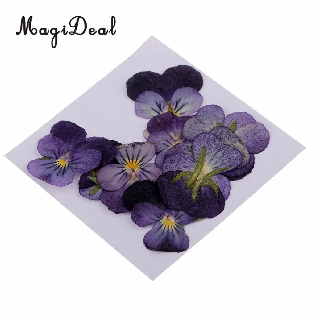 22pc Assorted Dried Pressed Flowers Real Violet & Sage Plant Herbarium For Scrapbooking Card Making DIY Jewelry Phone Case Craft