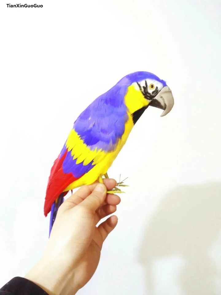 

large 42cm colourful yellow-blue feathers parrot bird hard model prop,home garden decoration gift s1389