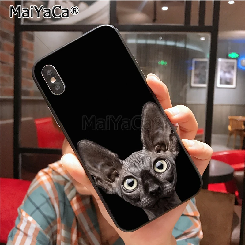 Уникальный силиконовый чехол для телефона MaiYaCa sphynx cat для iphone 11 Pro 6S 6plus 7 7plus 8 8Plus X 5 5S чехол