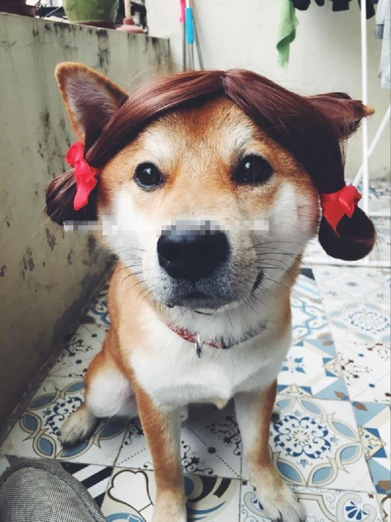 TB25H7eiYtlpuFjSspfXXXLUpXa_!!1065846492