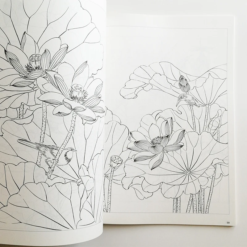 Lotus Line Drawing Collection from Famous Chinese Painters Art Textbook for Demonstration Coloring Book for Adults Lotus Line Drawing Collection from Famous Chinese Painters Art Textbook for Demonstration Coloring Book for Adults