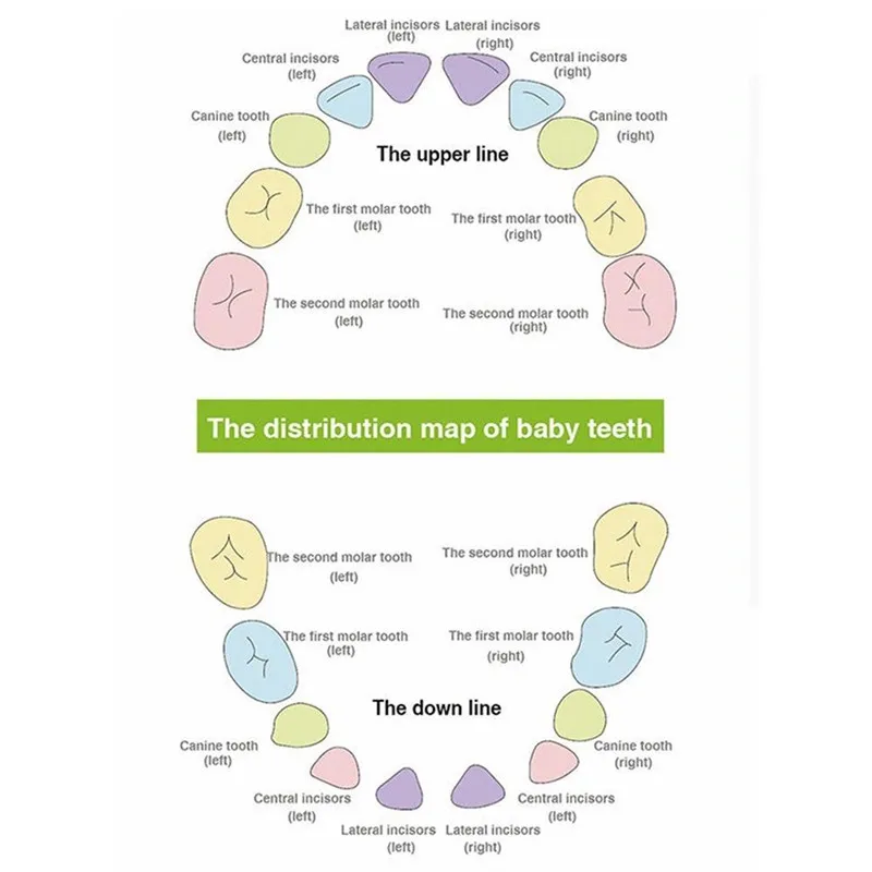 8576799afc142a5ac94859931e35123b1c8d7da9_original