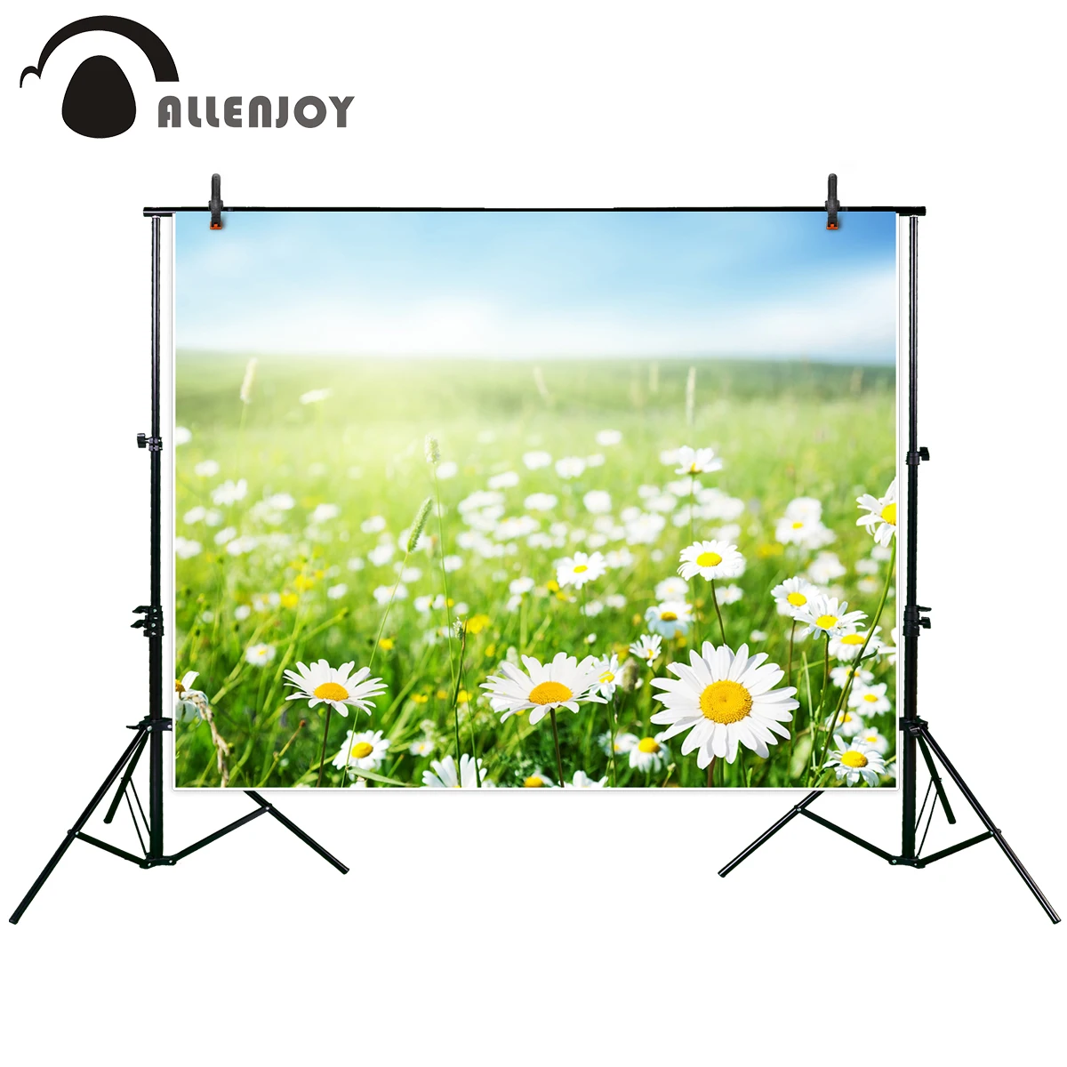 

Allenjoy photographic background spring time chrysanthemum field daisy flowers sunlight backdrop photocall professional custom