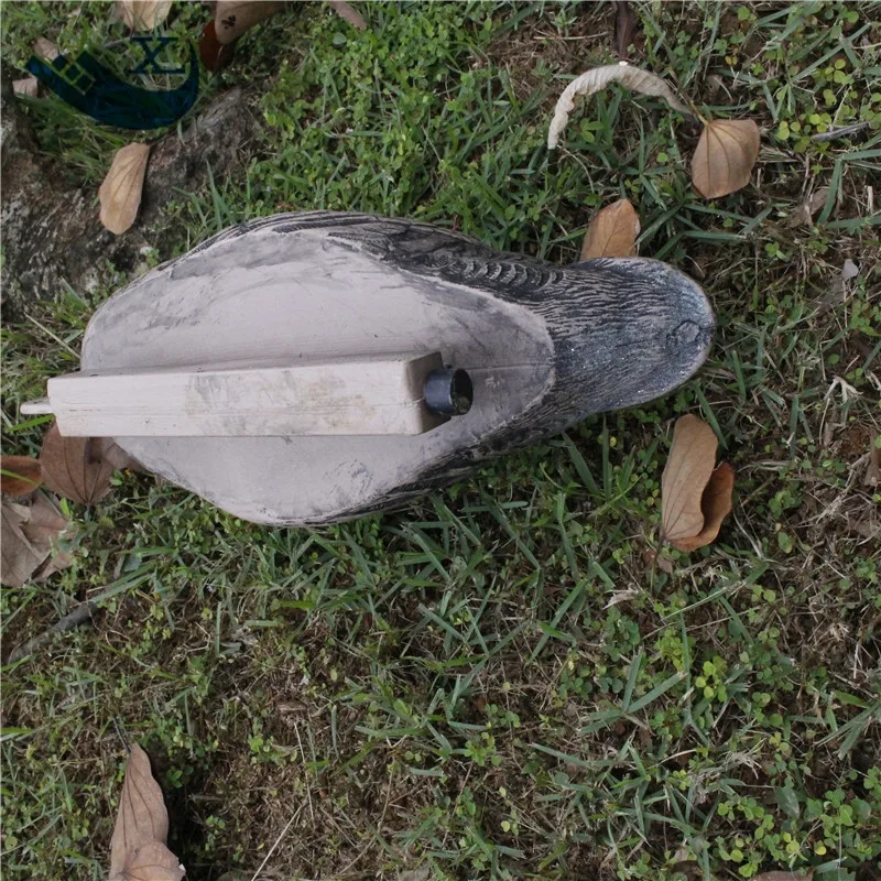Duck Decoy (46)