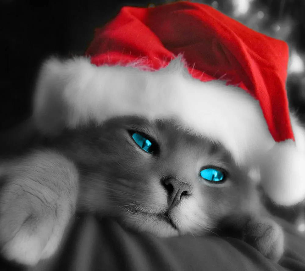 428 23 De Réductiondiamant Peinture Mignon Chat Avec Rouge Noël Chapeau Peinture Pleine Carré Couture Point De Croix Artisanat Cristal Mosaïque In