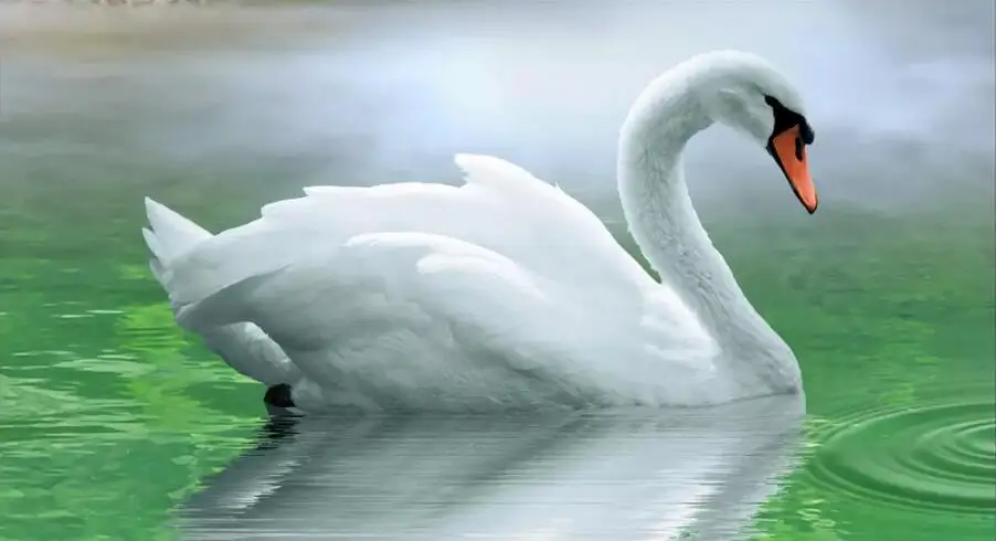 QQ20190401160202