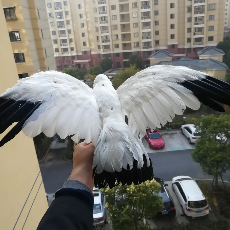 Настоящая жизнь птица перья чайки Большая 35x60 см расползающие крылья Чайка