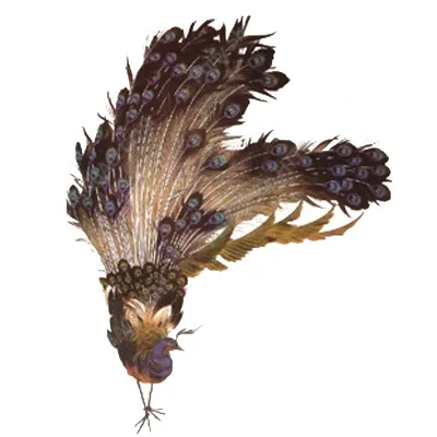 Grande à Prova Flor de Lótus Arte na Volta Tamanho Dlarge Água Tatuagem Temporária Peônia Ameixa Lobo Peixe Corpo Tatto Adesivos Flash Tatuagens Falsas 27 temporária peônia ameixa flor de lótus lobo
