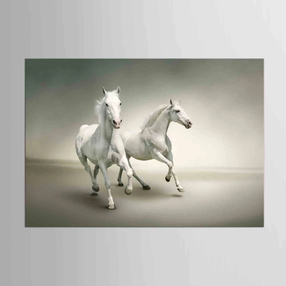 1 Panel At Resim Tuvali Baski Siyah Beyaz Hayvan Fotograf Resimleri Ev Dekorasyonu Modern Duvar Sanati Resimleri Aliexpress 1 Panel At Resim Tuvali Baski Siyah Beyaz Hayvan Fotograf Resimleri Ev Dekorasyonu Modern Duvar Sanati Resimleri Aliexpress