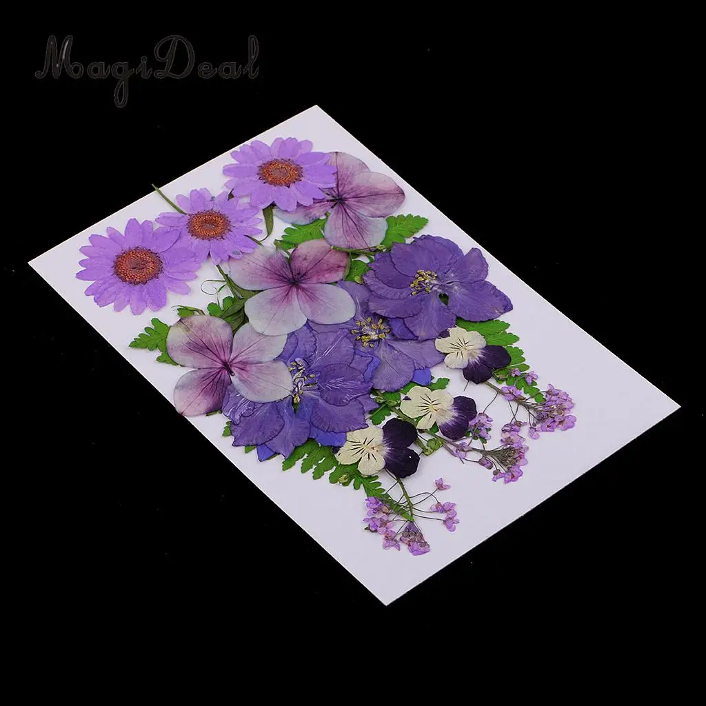 6 Kinds of Pressed Dried Flower Real Dried Flower Plant Specimen Filler for Scrapbooking Card, Art Crafts, Epoxy Resin Jewelry